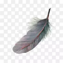 Óðëˮ²Ê»ÏóËØÓðë-¿ÕÈôÍø Óðëˮ²Ê»ÏóËØÓðë-¿ÕÈôÍø