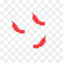红色羽毛-空若网 红色羽毛-空若网