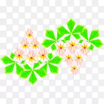 花瓣花卉设计线对称叶草本-空若网 花瓣花卉设计线对称叶草本-空若网