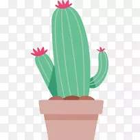 仙人掌科剪贴画-可爱的条纹仙人掌-空若网 仙人掌科剪贴画-可爱的条纹仙人掌-空若网