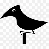 鸟听起来像安卓摩托火箭斑马鸽子-你好-卡伦-空若网 鸟听起来像安卓摩托火箭斑马鸽子-你好-卡伦-空若网