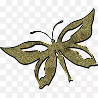昆虫对称叶花剪贴画-昆虫-空若网 昆虫对称叶花剪贴画-昆虫-空若网