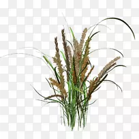 封装PostScript剪贴画-空若网 封装PostScript剪贴画-空若网