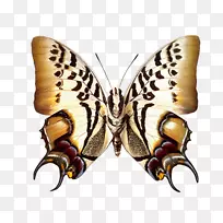 动画名称-动画-空若网 动画名称-动画-空若网