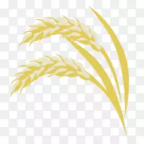 �̱�����Ʒϵ��-����-������