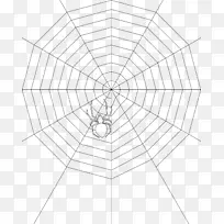 �׵�Գƽ�֩����ͼ��-������