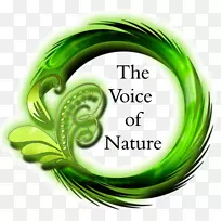 �����������ܲ�������ʳƷ��ɫ�����ϸ��-������