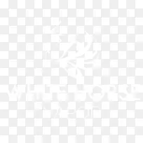 联合国大学计算机与社会学会电子邮件商务信息计算机软件-空若网 联合国大学计算机与社会学会电子邮件商务信息计算机软件-空若网