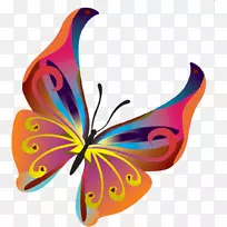 ºûµû¼ôÌù»-ºûµû-¿ÕÈôÍø ºûµû¼ôÌù»-ºûµû-¿ÕÈôÍø