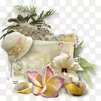 动画。通过电子邮件剪辑艺术-海洋-空若网 动画。通过电子邮件剪辑艺术-海洋-空若网