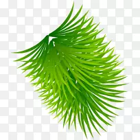 绿色图标-绿色鲜草-空若网 绿色图标-绿色鲜草-空若网