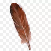 ��ëèͷӥ��ɫˮ�ʻ�.��ɫ��ë-������