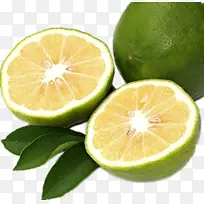 佛手柑橙苦橙柠檬柑桔桃金娘-空若网 佛手柑橙苦橙柠檬柑桔桃金娘-空若网