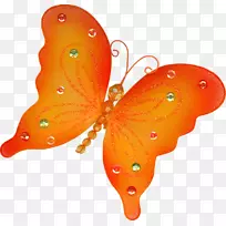 ������ɫ���������-��ɫ����-������