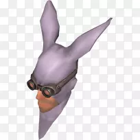 ������ɫ-������