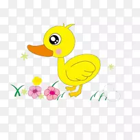 咸鸭蛋-小黄鸭-空若网 咸鸭蛋-小黄鸭-空若网