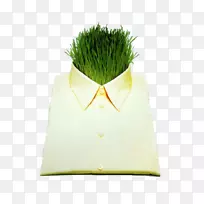 ��������-������