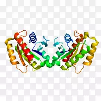 LRRK 2帕金森病蛋白富含亮氨酸的重复氨基酸-空若网 LRRK 2帕金森病蛋白富含亮氨酸的重复氨基酸-空若网