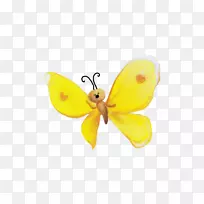 ��Ӱ����-������