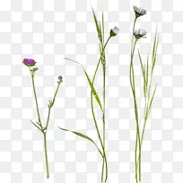 ����ֲ����ϵ-������