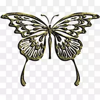 �ڰ���Ӱͼ��.���ɵ���Ӱ-������