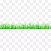 ���ʲ�-������