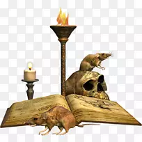 ����Krysa/m/083vt�����ʼ�����-4-������