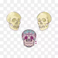 头盖骨珠宝-很多-空若网 头盖骨珠宝-很多-空若网