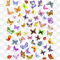 ����������Ѳ�ͼ��ɫ����-������