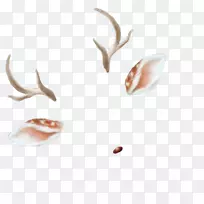 安卓照片滤镜剪辑艺术-过滤器快照聊天-空若网 安卓照片滤镜剪辑艺术-过滤器快照聊天-空若网