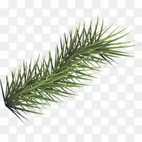 绿色下载-绿色简明草-空若网 绿色下载-绿色简明草-空若网