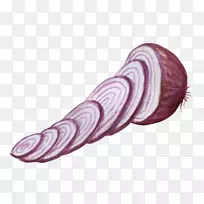 洋葱蔬菜水彩画切洋葱-空若网 洋葱蔬菜水彩画切洋葱-空若网