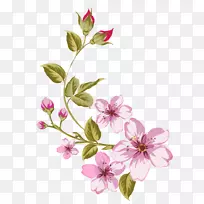 ���������-������