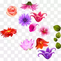 ������ưٺϻ���������.����-������