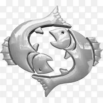 双鱼座星座双鱼座-空若网 双鱼座星座双鱼座-空若网