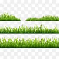 ��Ӱ��Ѳ廭-�̲�-������