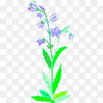 ֲ�ﾥҶ���㿪��ֲ�������-������