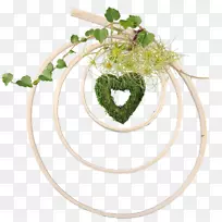 ����-������