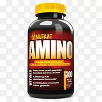 膳食补充剂支链氨基酸必需氨基酸肌肉-空若网 膳食补充剂支链氨基酸必需氨基酸肌肉-空若网