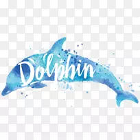 海豚画水彩画.海豚-空若网 海豚画水彩画.海豚-空若网