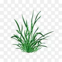 植物剪贴画-植物-空若网 植物剪贴画-植物-空若网