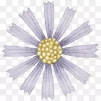 野菊花卡通手绘野菊花-空若网 野菊花卡通手绘野菊花-空若网