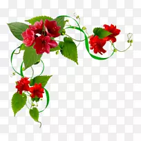 花卉设计-插花艺术-空若网 花卉设计-插花艺术-空若网