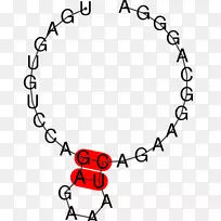 �����ղ�Sentra��ɫ����������-�����ѧ-������