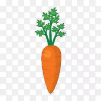 胡萝卜蔬菜白菜-胡萝卜配叶-空若网 胡萝卜蔬菜白菜-胡萝卜配叶-空若网