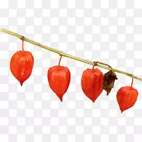 秘鲁地樱桃剪贴画-秋叶PNG-空若网 秘鲁地樱桃剪贴画-秋叶PNG-空若网