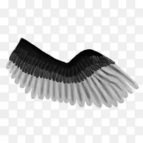 毛刷睫毛-飞马翅膀-空若网 毛刷睫毛-飞马翅膀-空若网
