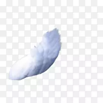 ���˾-����������-������