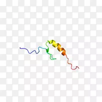 线点角剪贴术-基因-空若网 线点角剪贴术-基因-空若网