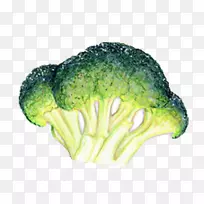 西兰花叶蔬菜食品插图.手绘花椰菜-空若网 西兰花叶蔬菜食品插图.手绘花椰菜-空若网